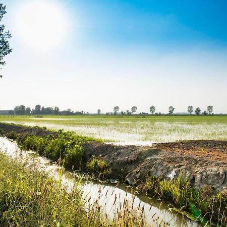 Agriturismo Lecolombare Nogarole Rocca Εξωτερικό φωτογραφία